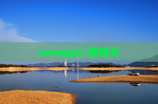 swagger 翻唱女